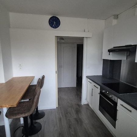 Appartement Spacieux & Paisible Meythet Exteriör bild